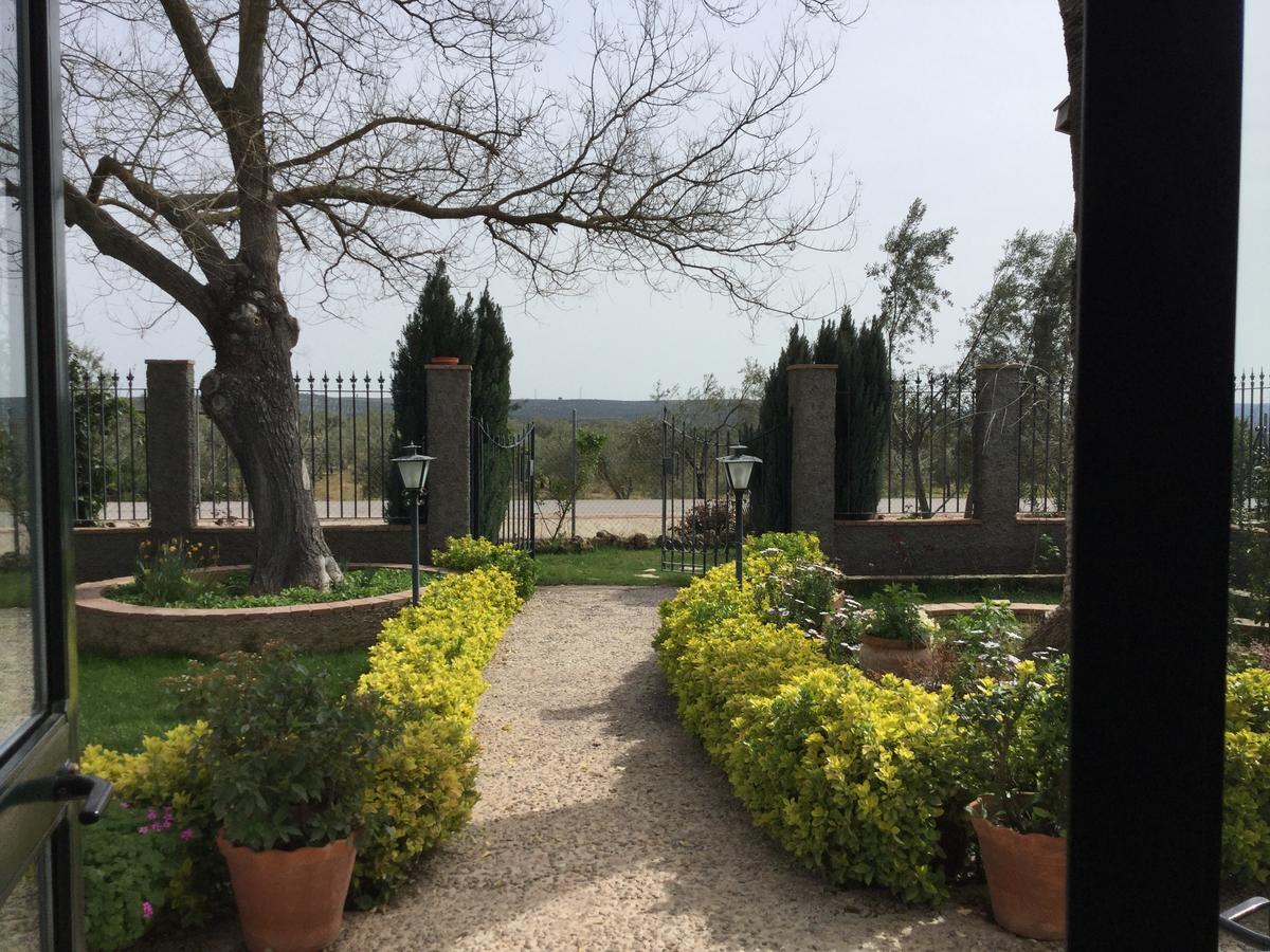 마르몰레호 La Aragonesa 게스트하우스 외부 사진